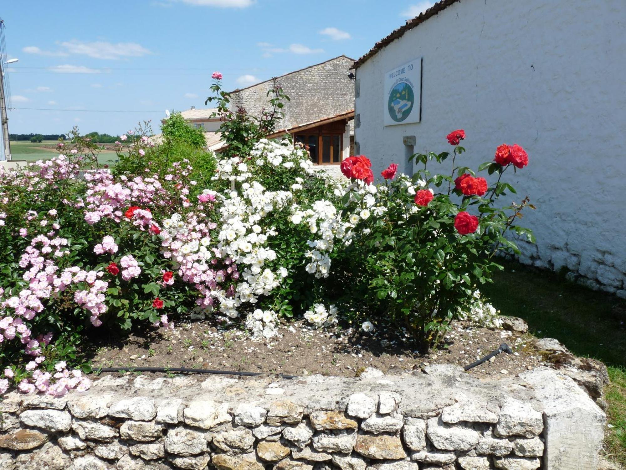 Gites Chez Belliveau Meursac 외부 사진